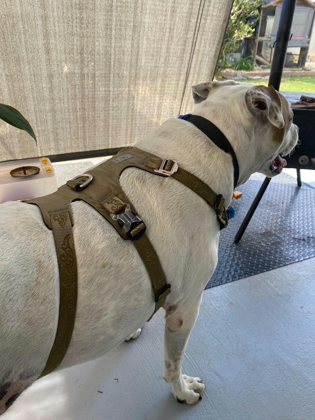 Escape Proof Dog Harness Double-H Waterproof