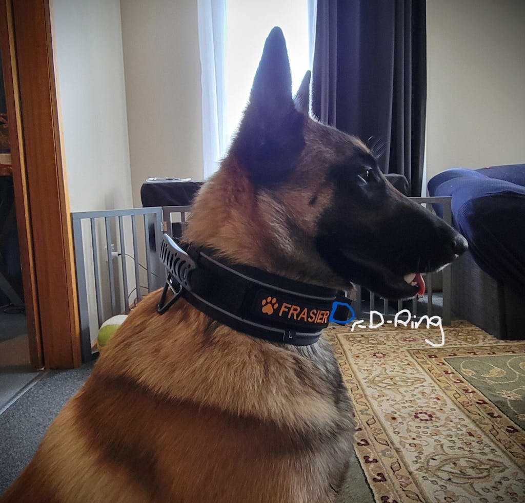 Wide Tactical Dog Collar With Handle For Medium & Large Dogs