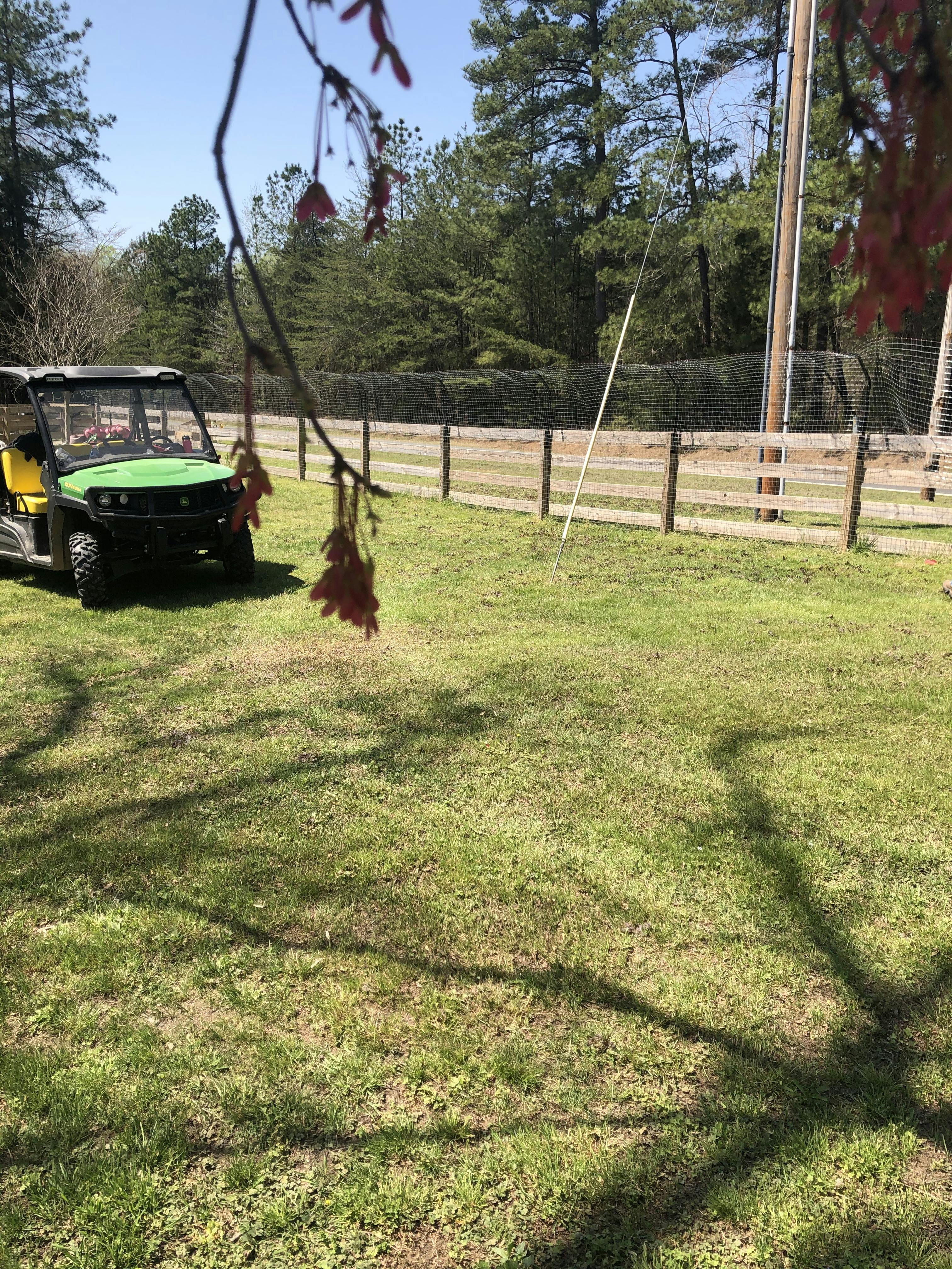 houdini proof dog fence