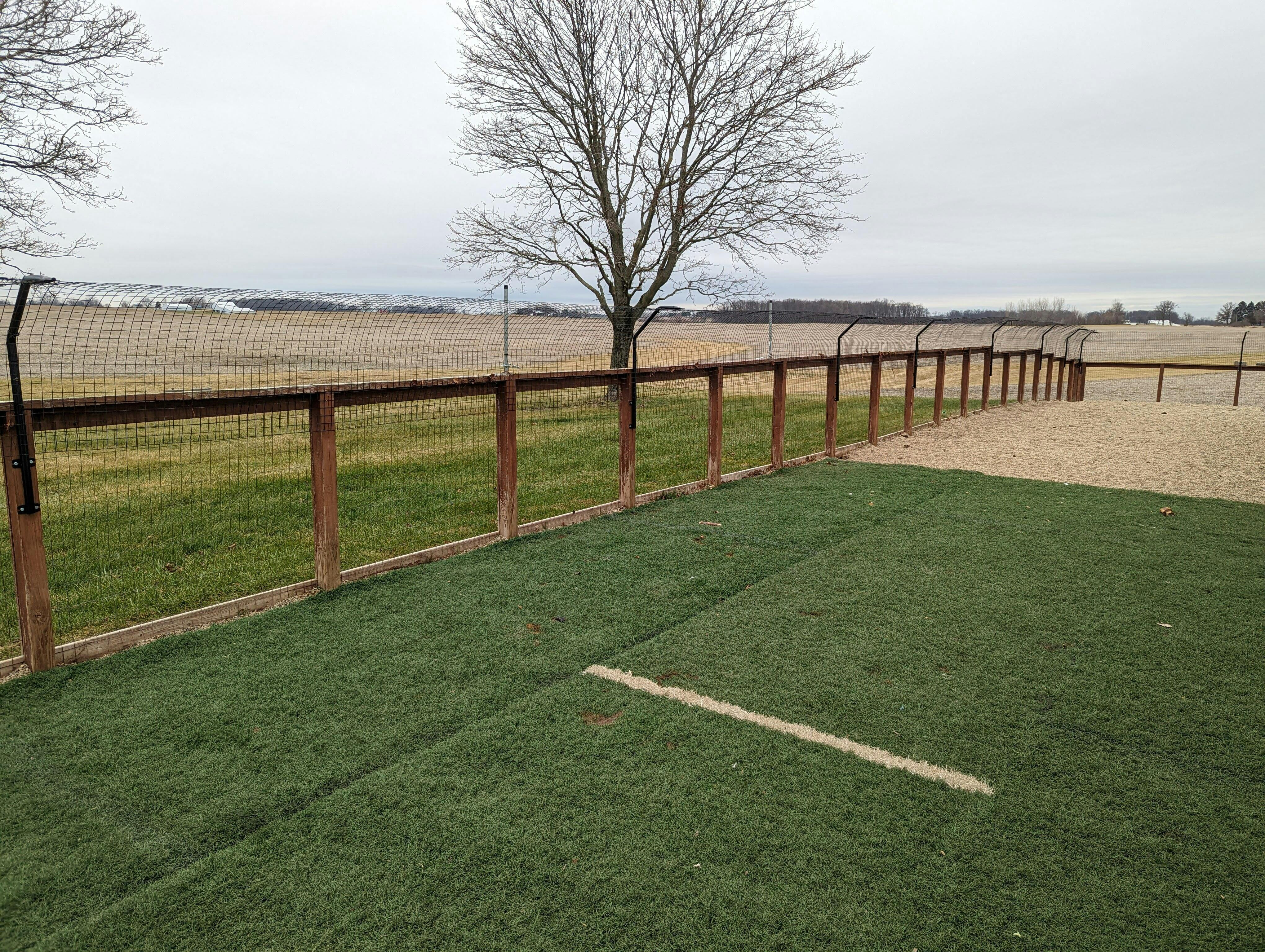 The Best Small Dog Fence Ranked (2023) - Dog Proofer