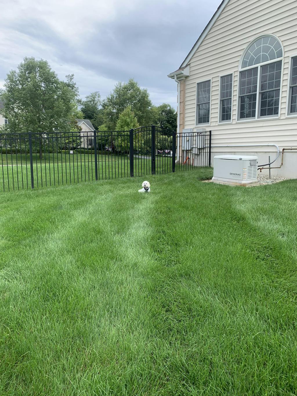Fence Gap Blocker for Dogs Wire Mesh Gap Cover Dog Proofer