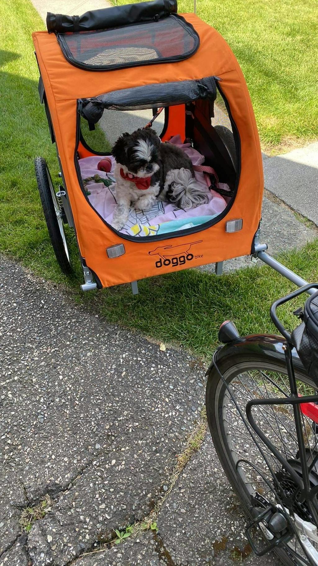 Doggo Bike™ trailer The bike trailer stroller jogger meant for dogs