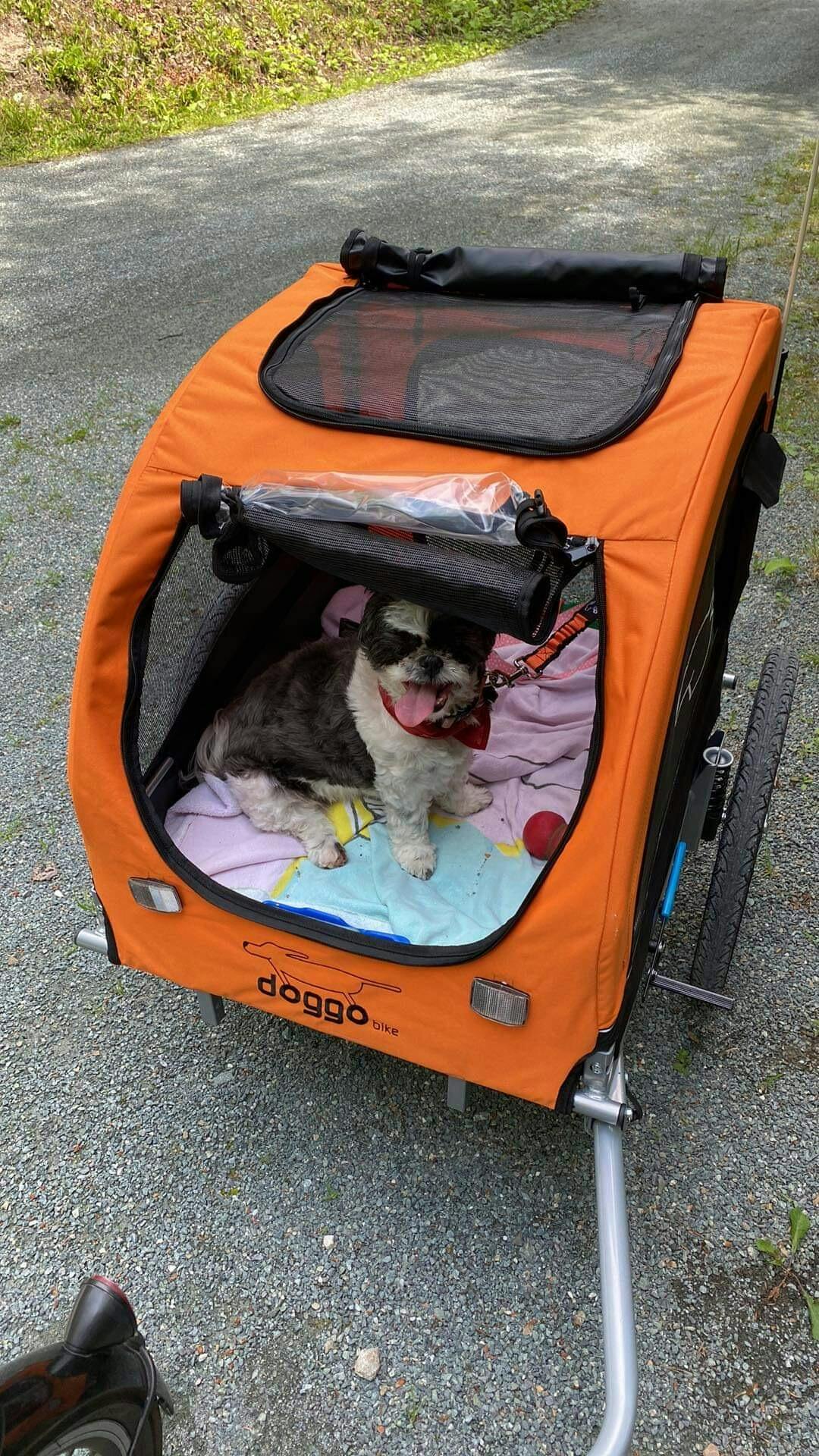 Doggo Bike Trailer The Bike Trailer Stroller Jogger Meant For Dogs doggo-bike-trailer-the-bike-trailer-stroller-jogger-meant-for-dogs