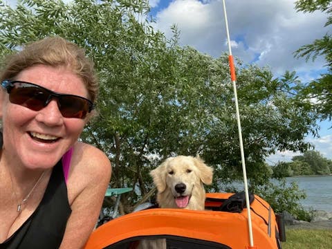 Doggo Bike® Trailer