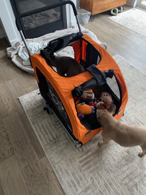 Doggo Bike® Trailer