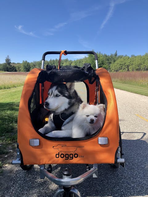 Doggo Bike® Trailer