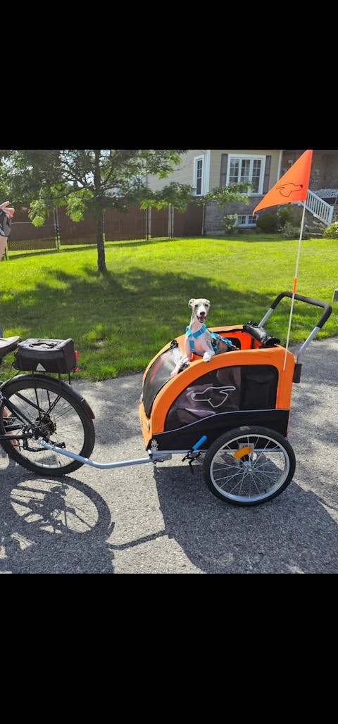 Doggo Bike® Trailer