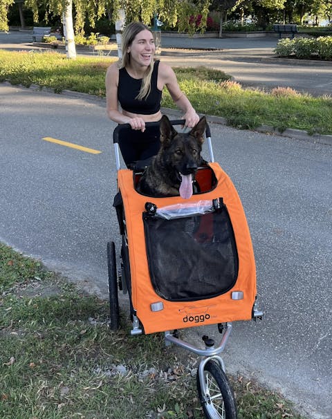 Doggo Bike® Trailer