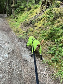Hands-Free Adventure Belt
