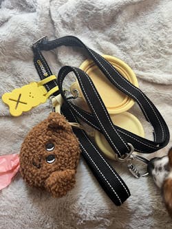 Adjustable Padded Leash