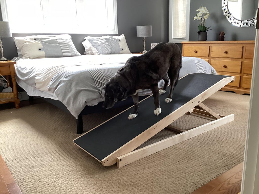 Bed Ramp for Medium & Large Dogs - Adjustable Dog Ramp with Rails