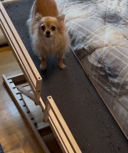 Dog Bed Ramp Woodworking Plans For Dog Steps Wood Dog Stair Ramp