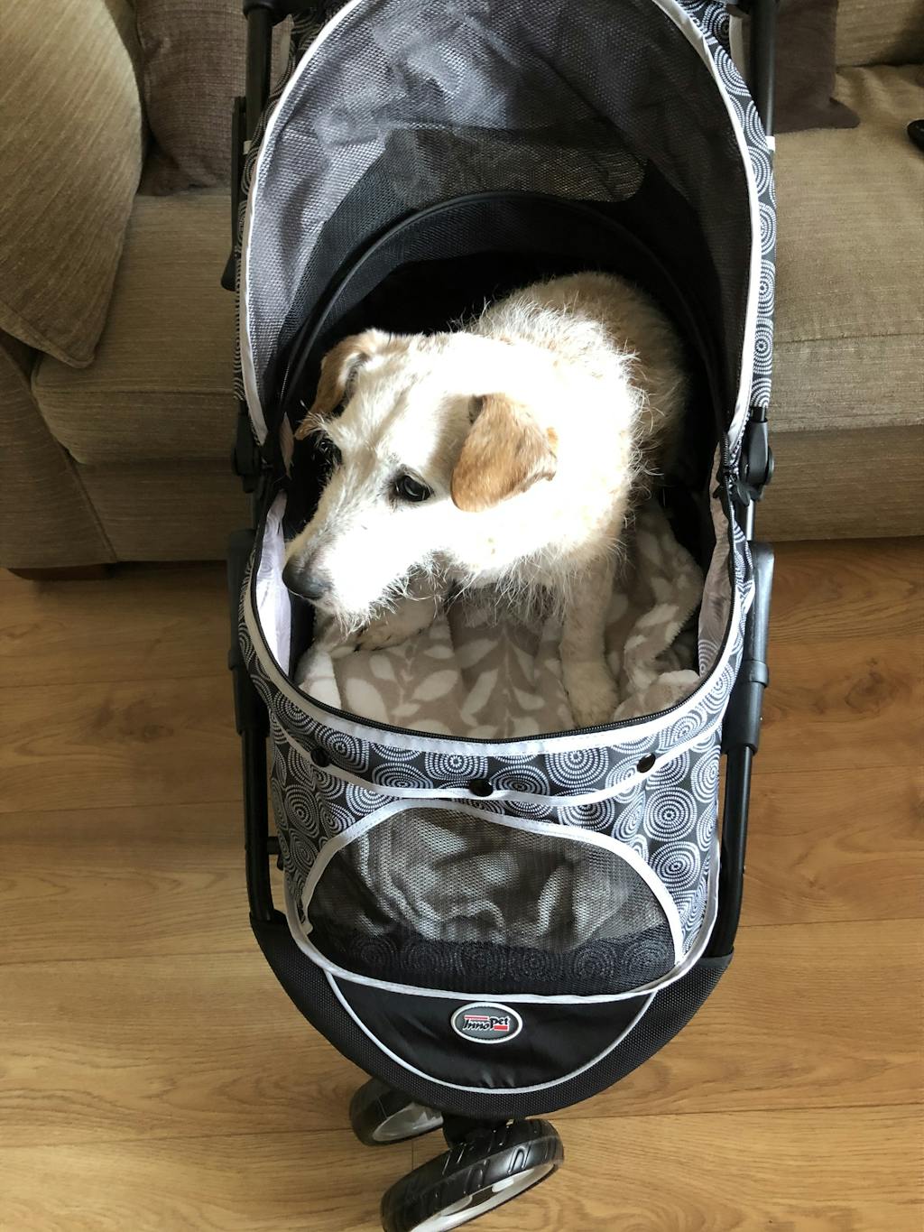 Innopet Allure Dog Stroller Onyx doggy & moggie
