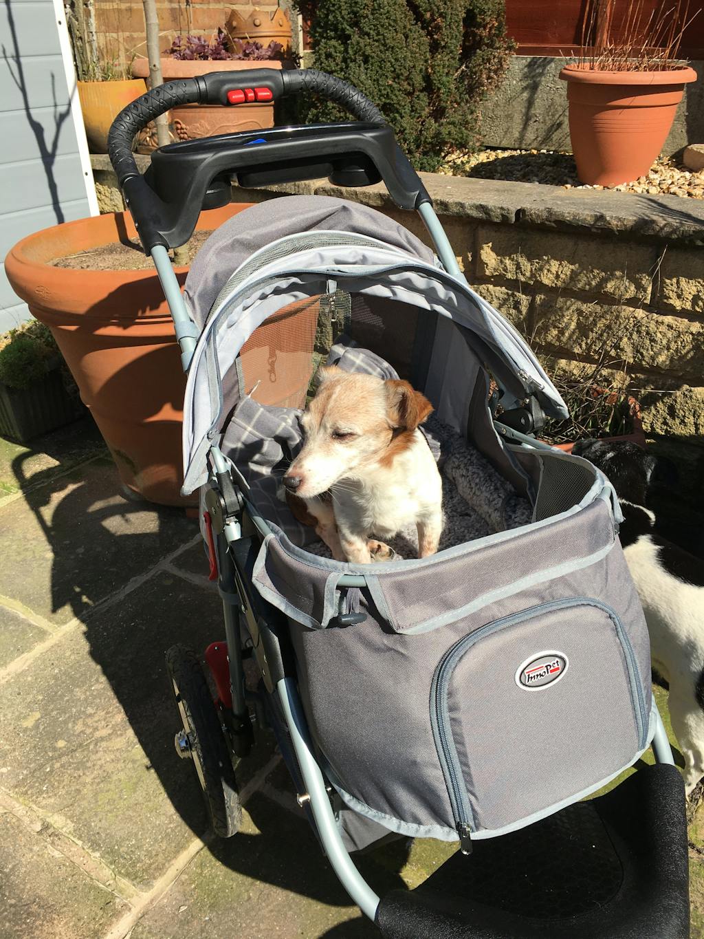 Innopet Comfort Air Dog Stroller Dark Grey & Light Grey doggy & moggie
