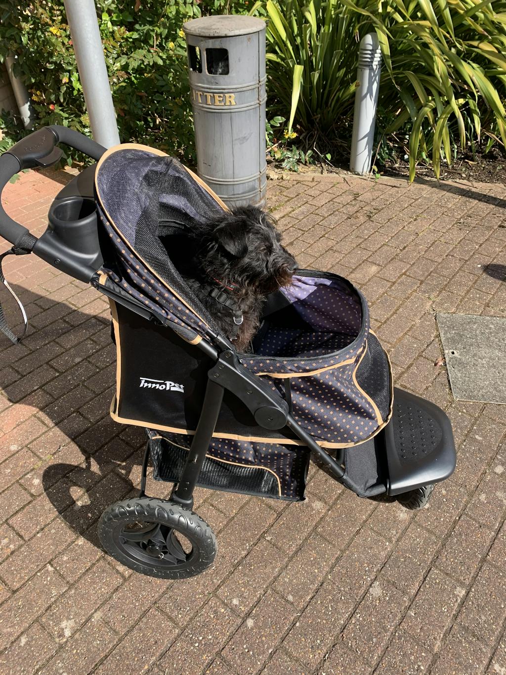 Innopet Adventure Dog Buggy Dog Stroller doggy & moggie