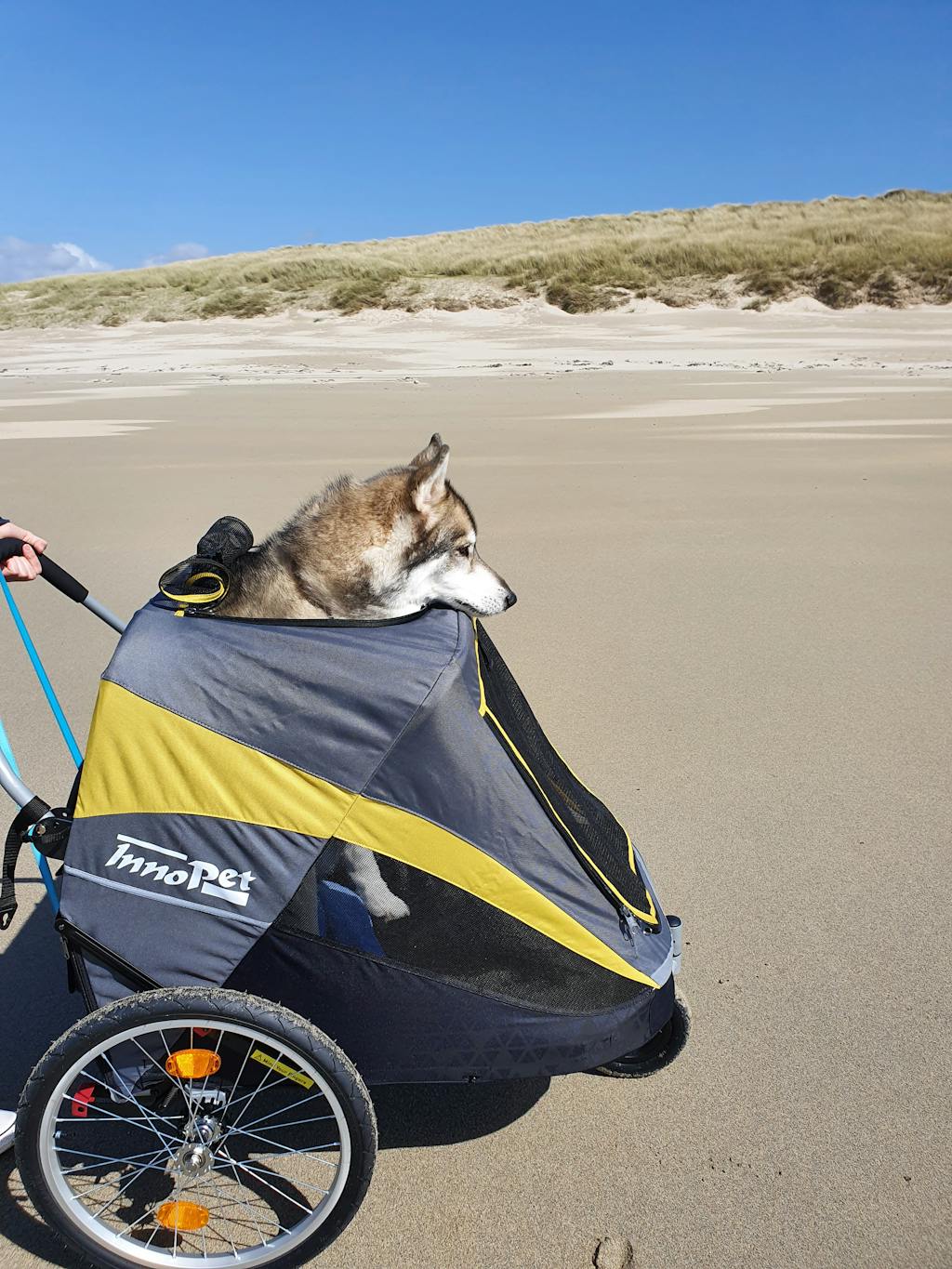 Innopet Hercules 2.0 Extra Large Dog Stroller Free Rain Cover doggy