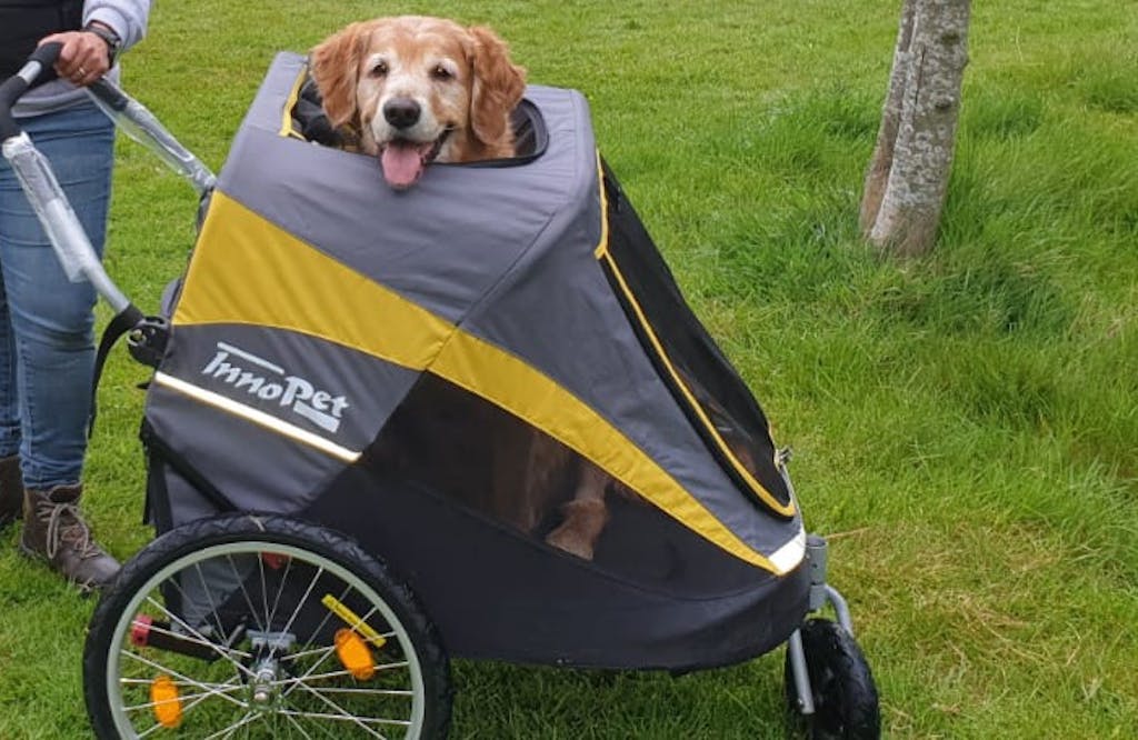 Innopet Hercules 2.0 Extra Large Dog Stroller Free Rain Cover doggy