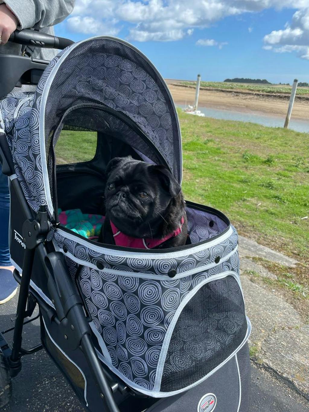 Innopet Allure Dog Stroller 2 Year Warranty Included Onyx doggy