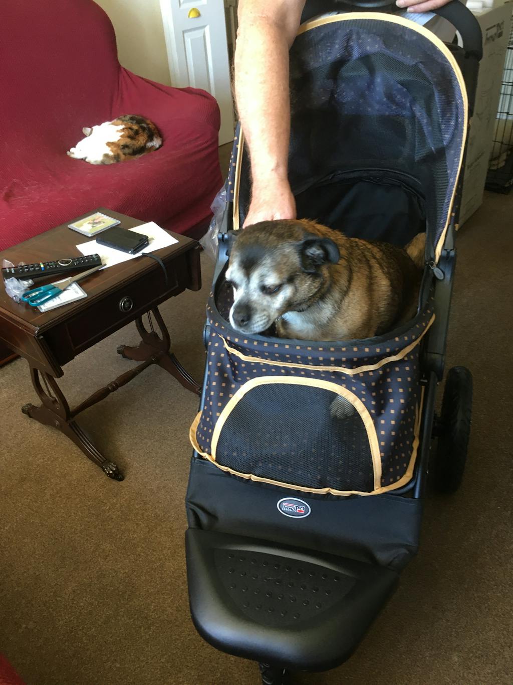 Innopet Adventure Dog Buggy Dog Stroller doggy & moggie