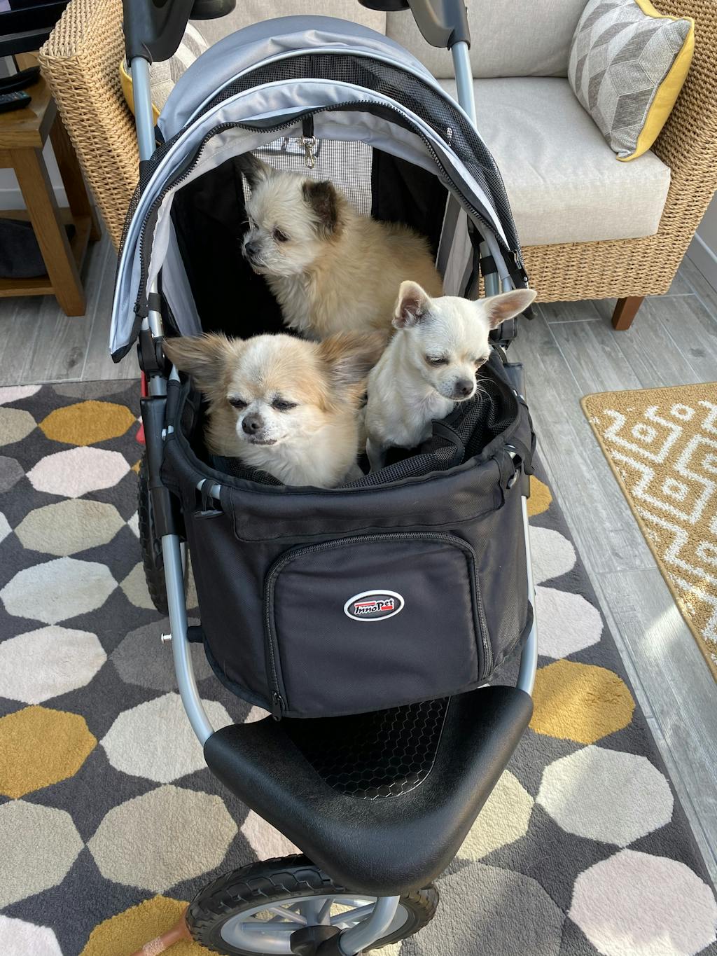 Innopet Comfort EFA Dog Stroller - Silver & Black – doggy & moggie