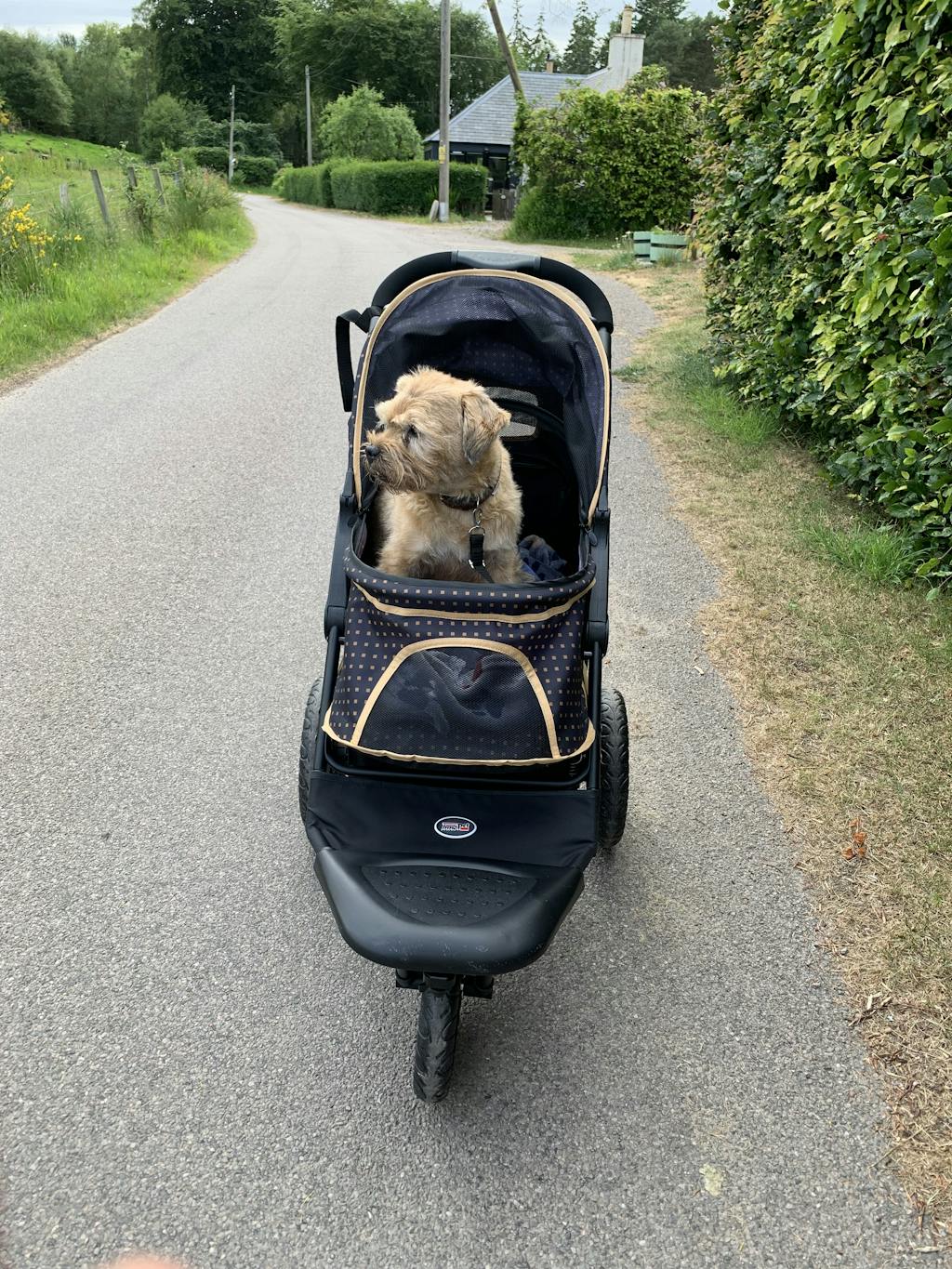 Innopet Adventure Dog Buggy Dog Stroller doggy & moggie