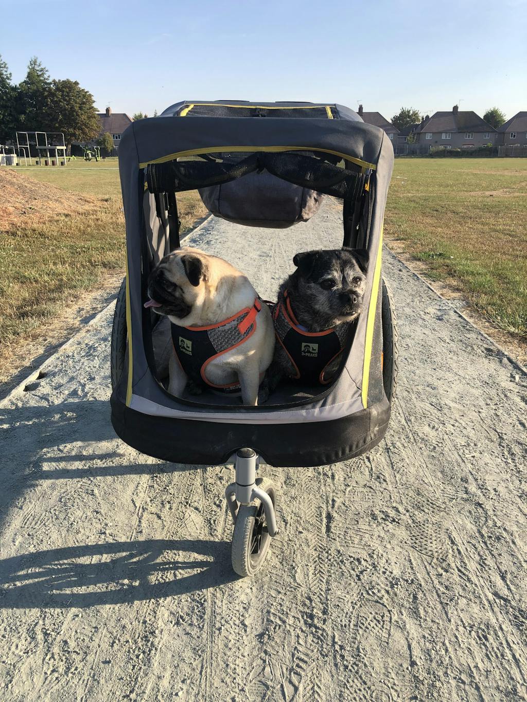 Innopet Hercules 2.0 Extra Large Dog Stroller Free Rain Cover 2 Ye