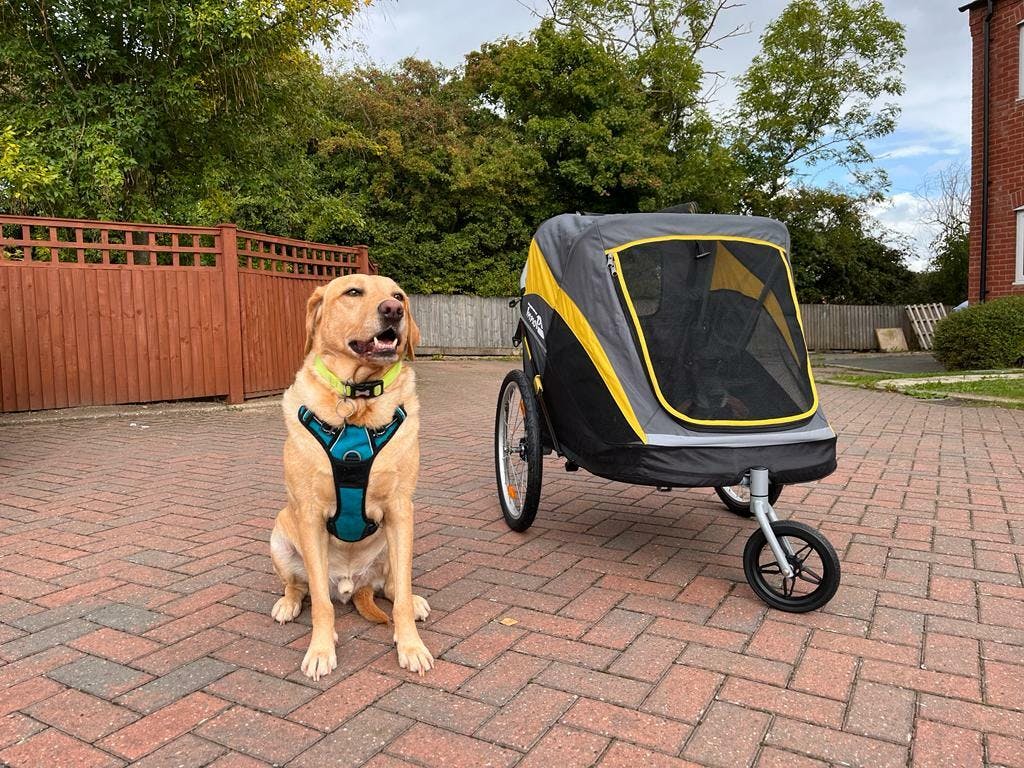 Innopet Hercules 2.0 Extra Large Dog Stroller Free Rain Cover 2 Ye