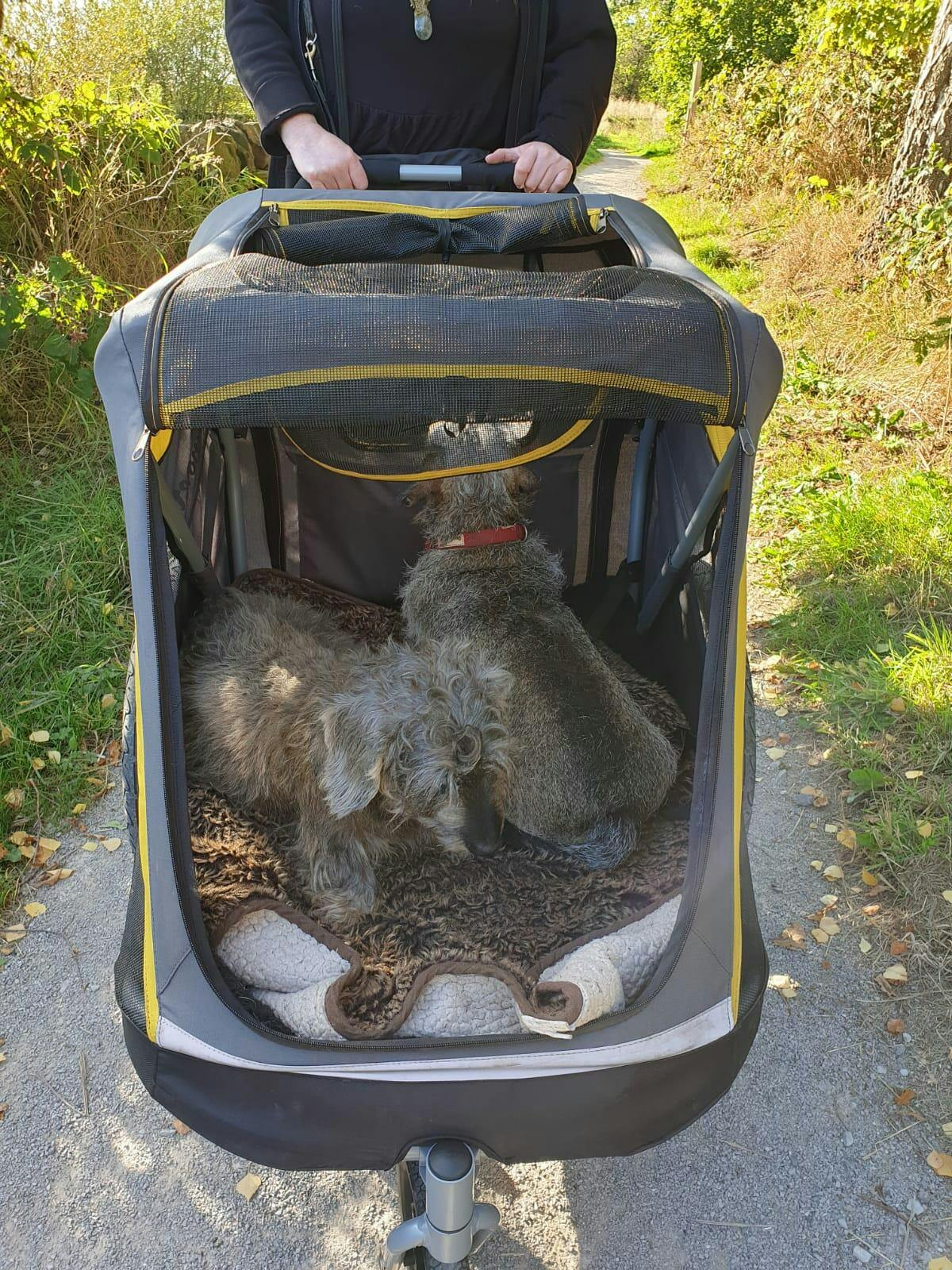 Innopet Hercules 2.0 Extra Large Dog Stroller Free Rain Cover 2 Ye