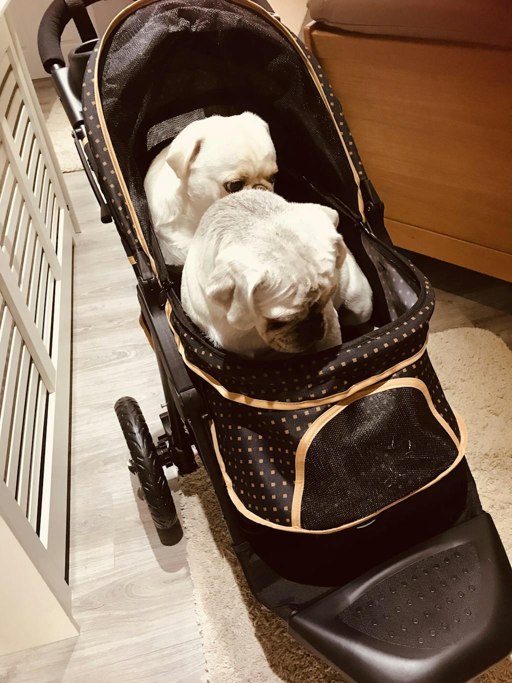 Innopet Adventure Dog Buggy Dog Stroller doggy & moggie