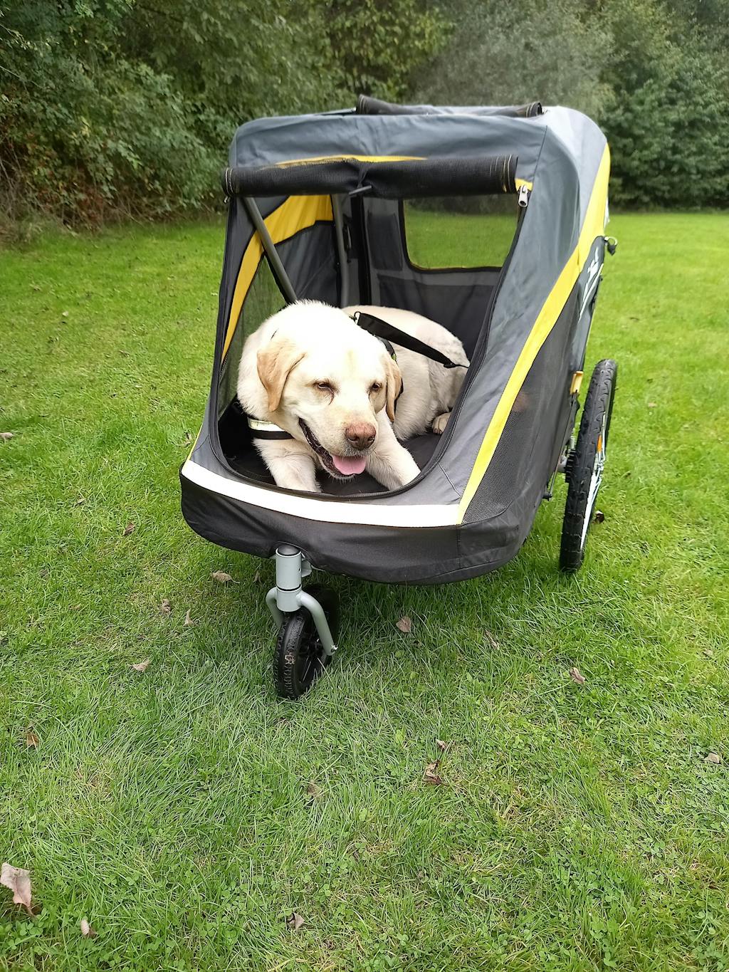 Innopet Hercules 2.0 Extra Large Dog Stroller Free Rain Cover 2 Ye