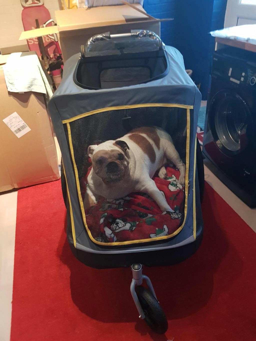 Innopet Hercules 2.0 Extra Large Dog Stroller Free Rain Cover 2 Ye