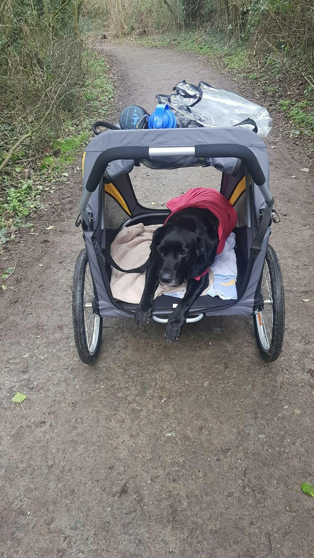 Innopet Hercules 2.0 Extra Large Dog Stroller Free Rain Cover 2 Ye