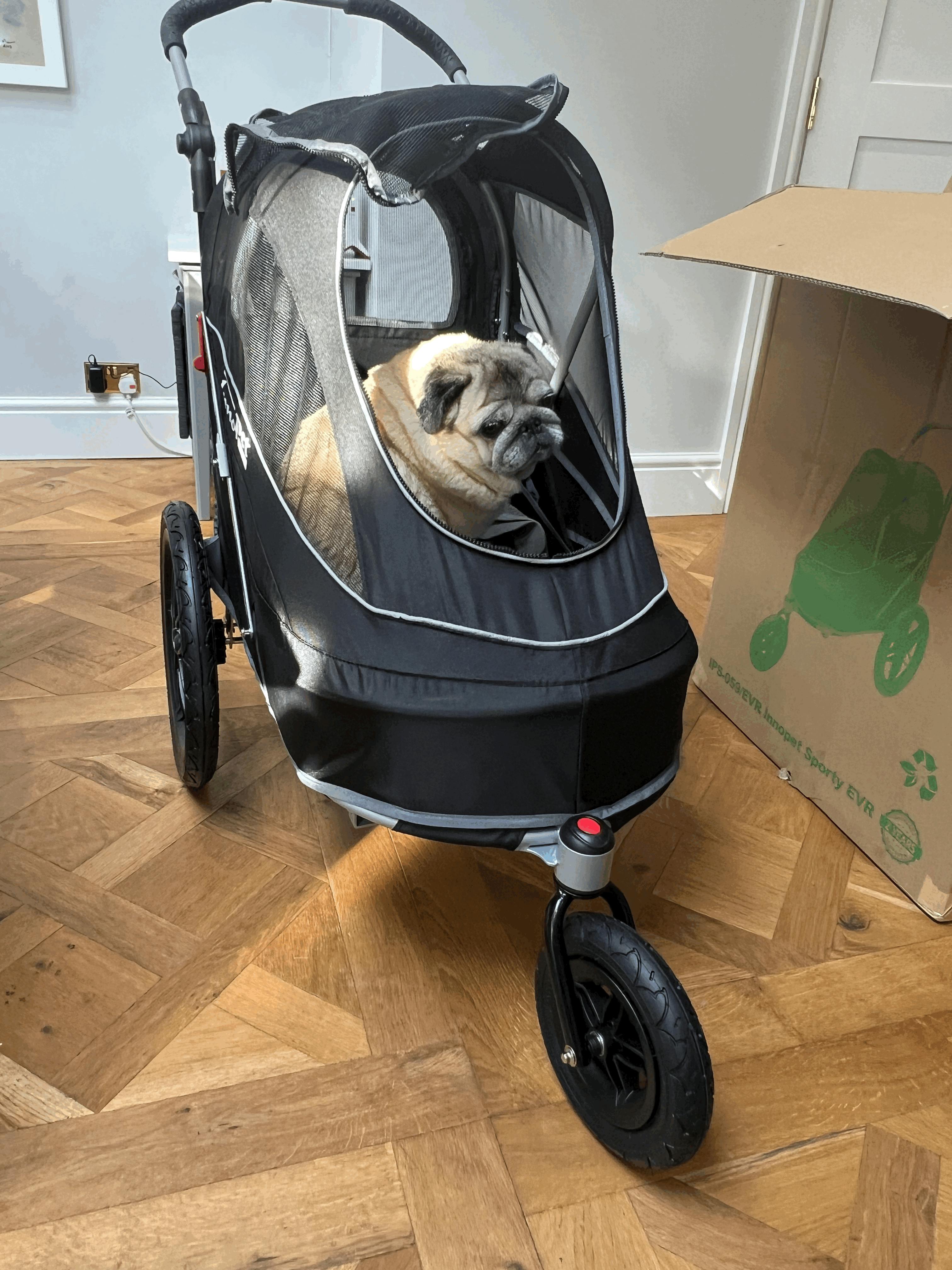 Innopet Sporty Black EVR Dog Stroller 2 Year Warranty doggy & moggie