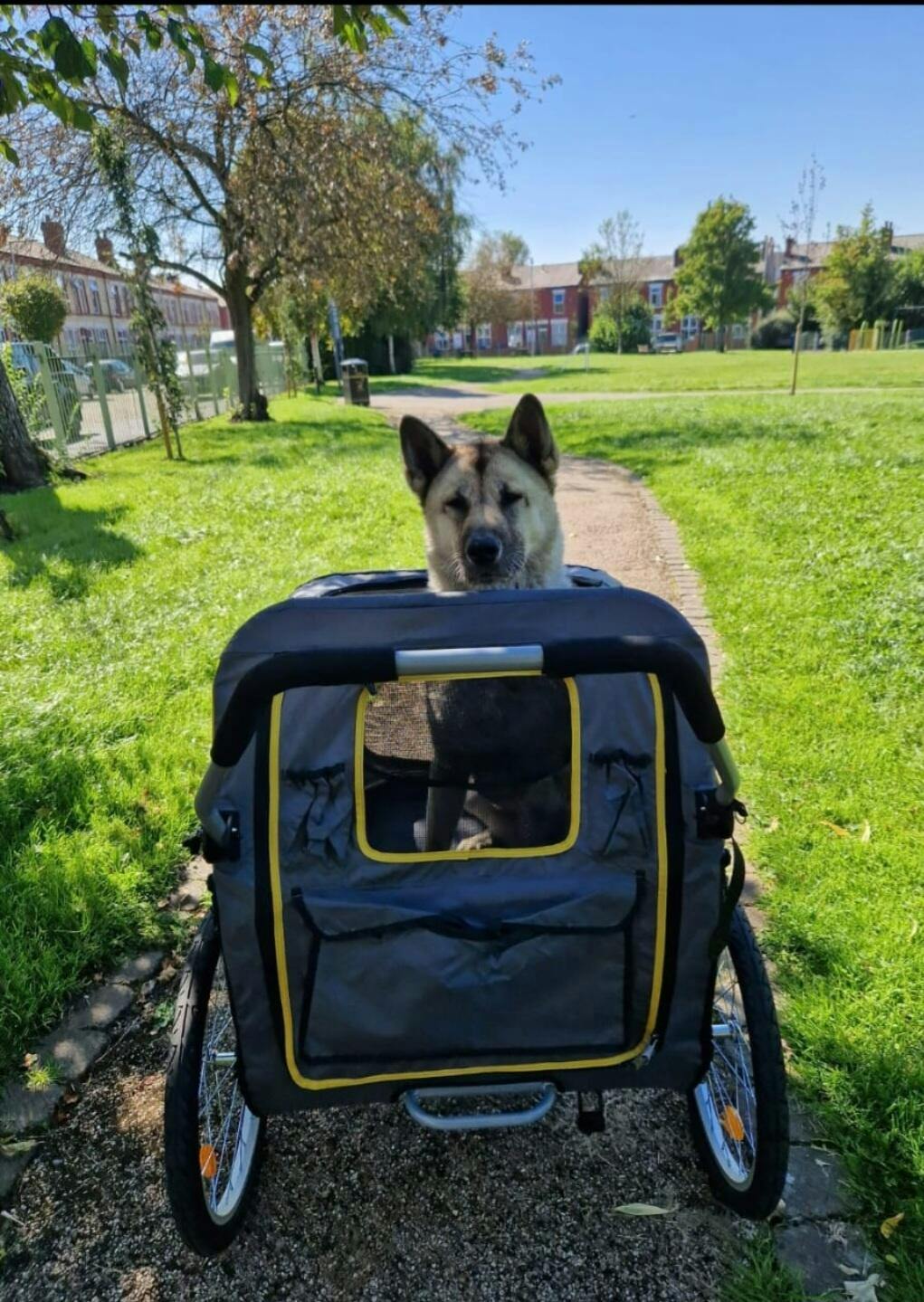 Innopet Hercules 2.0 Extra Large Dog Stroller Free Rain Cover 2 Ye