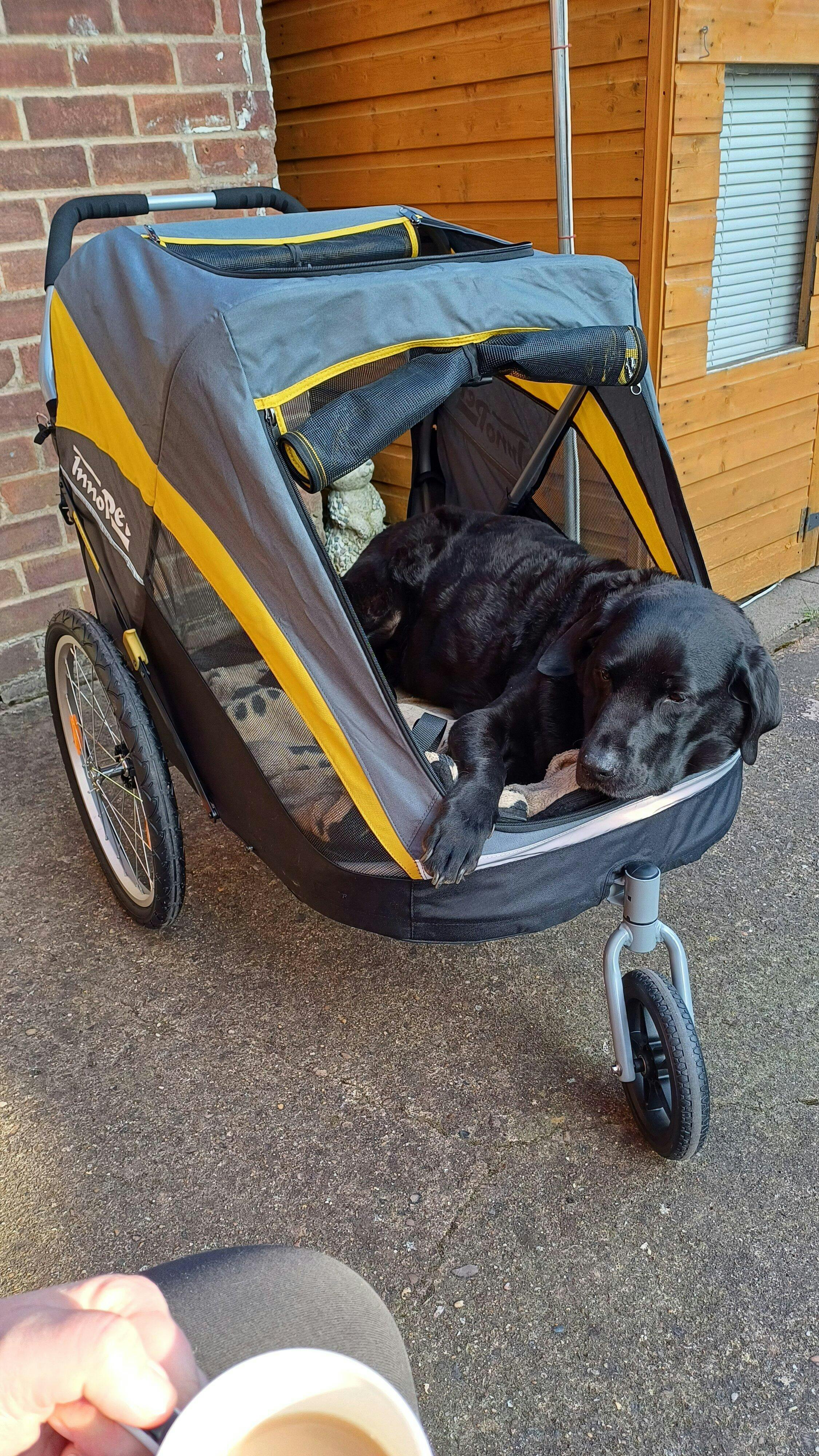 hercules dog stroller