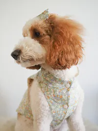 SPRING VEST | 2 IN 1 REVERSIBLE