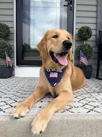 BANDANA | RED, WHITE & BLUE