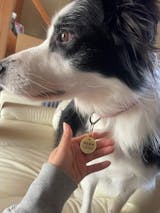 真鍮キーホルダー | QRコード付き犬用迷子札 | アプリ連携