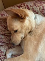 【全種類お得セット】キーホルダー用金具