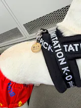 真鍮キーホルダー | QRコード付き犬用迷子札 | アプリ連携