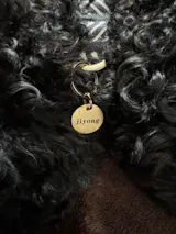 真鍮キーホルダー | QRコード付き犬用迷子札 | アプリ連携