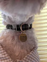 真鍮キーホルダー | QRコード付き犬用迷子札 | アプリ連携