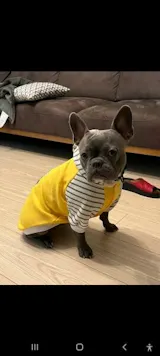 User picture