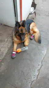 User picture