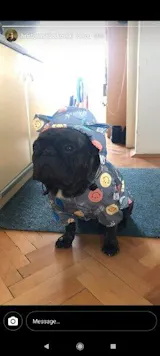 User picture