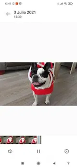 User picture