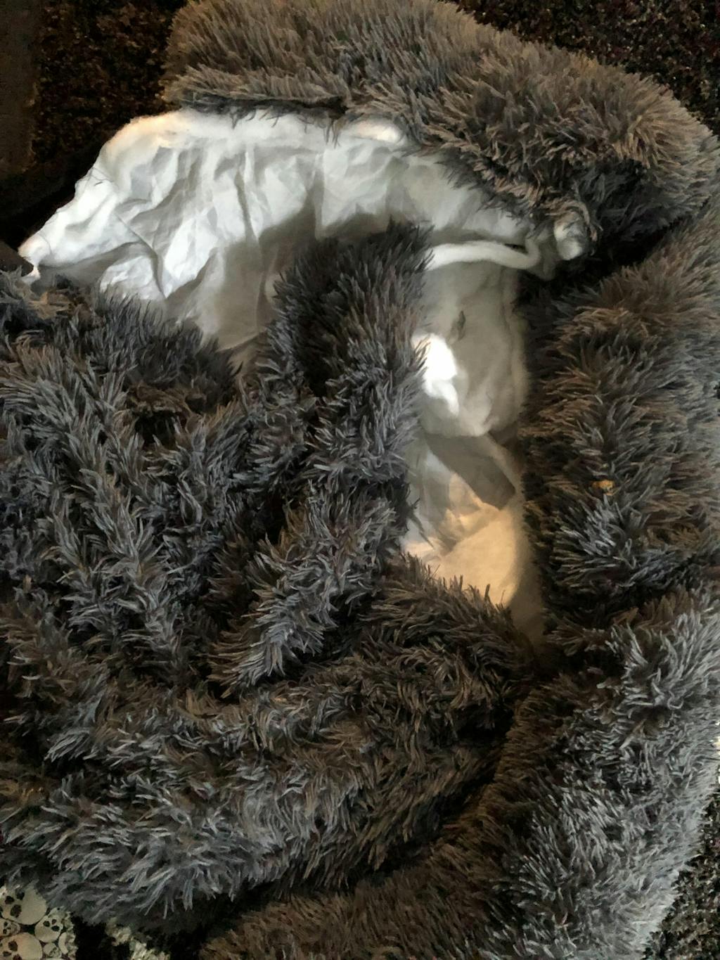 Dogslanding™ Calming Furniture Protector (Basic Edition) DogsLanding