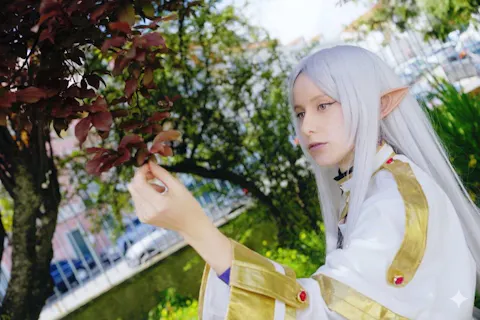 【Ready For Ship】DokiDoki-SR Anime Cosplay Friiereen Costume