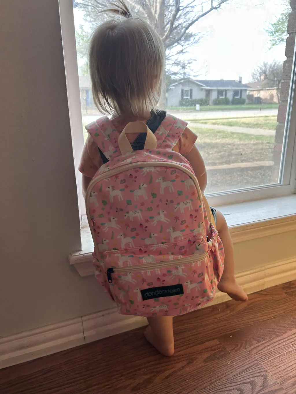 1 Year Old Kid Toy Set + Backpack