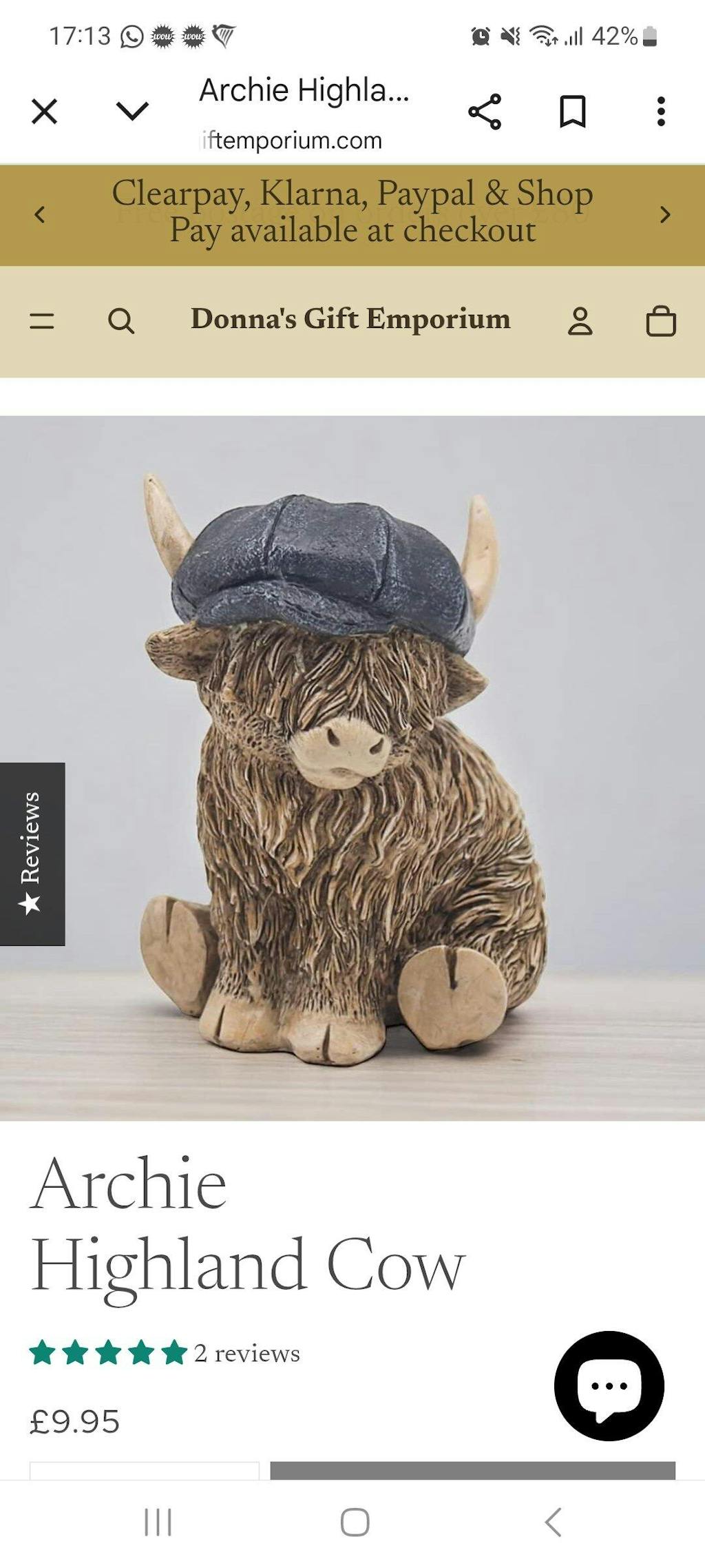 Dorris The Highland Cow With Rollers